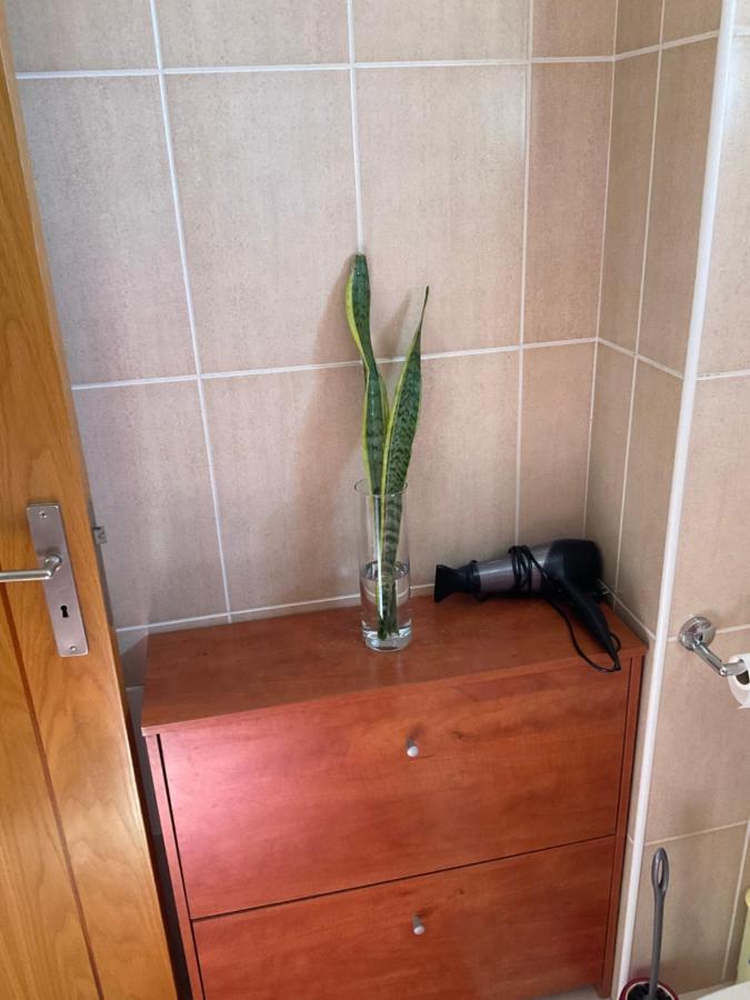 Moniz Apartment Caniço Eksteriør billede
